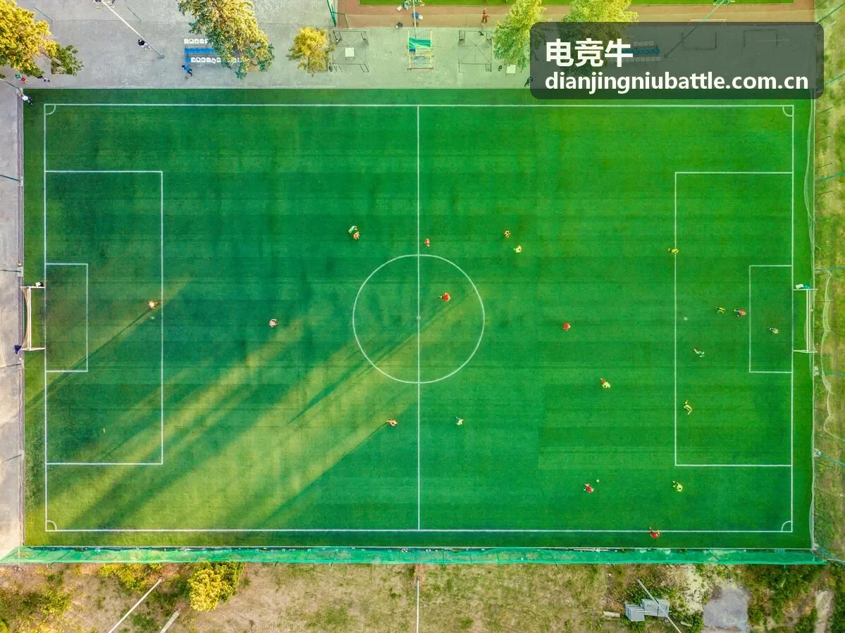 电竞牛电竞赛事数据分析与训练场景